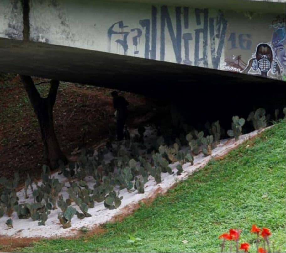 Foto: Fernando Vivas