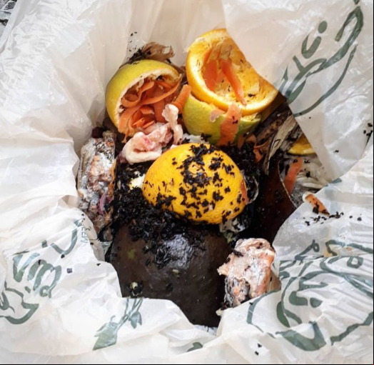                  Resíduos orgânicos consumidos pelo engenheiro de produção e professor de design, Fernando Borges, durante um mês, foram trocados por 2 kg de adubo. (Foto: Acervo pessoal/ Instagram)